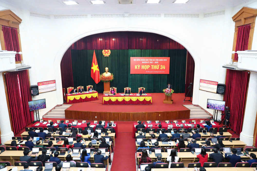 Đã có hướng dẫn hỗ trợ kinh phí trồng lại diện tích rừng phòng hộ ven biển do ảnh hưởng bởi bão