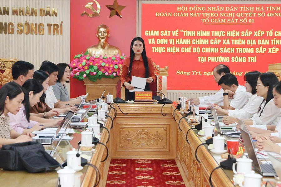Giám sát việc vận hành chính quyền địa phương 2 cấp tại Kỳ Thượng, Sông Trí