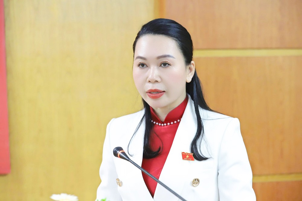 Thẩm tra của các Ban HĐND tỉnh tại kỳ họp thứ 32