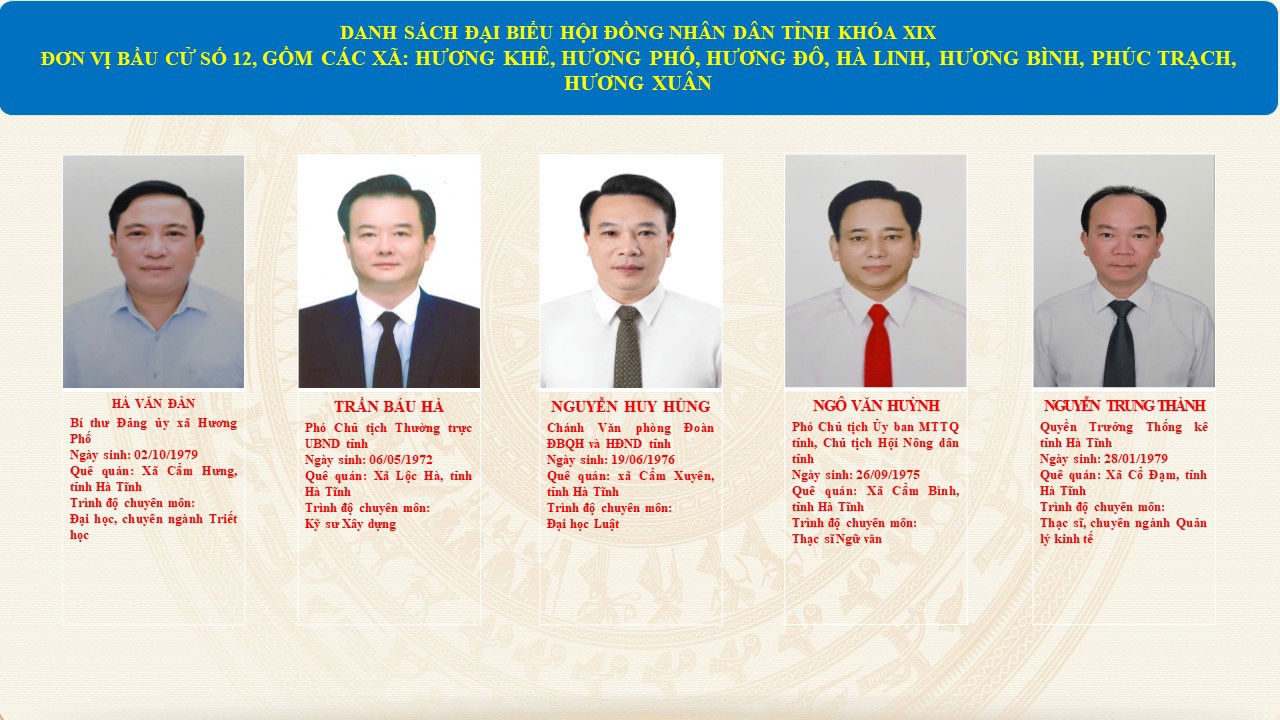 Danh sách những người trúng cử đại biểu Hội đồng nhân dân tỉnh khóa XIX, nhiệm kỳ 2026-2031 đơn vị bầu cử số 12