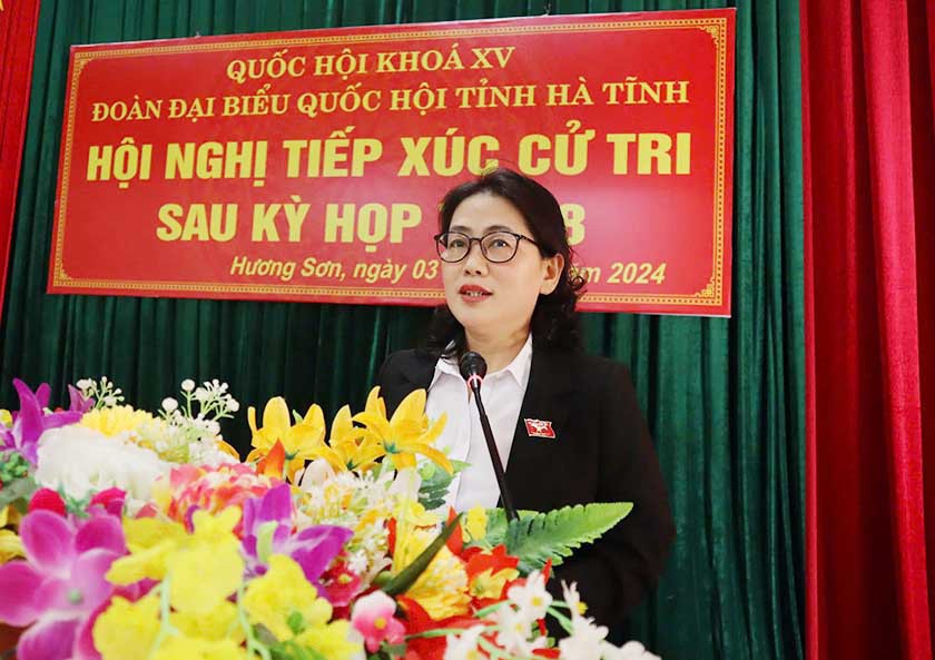 Cử tri Hương Sơn kiến nghị nhiều vấn đề liên quan đến đời sống, xây dựng NTM