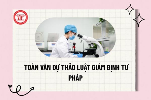 Sẽ sửa đổi, bổ sung Luật Giám định tư pháp năm 2012 (được sửa đổi, bổ sung năm 2020)