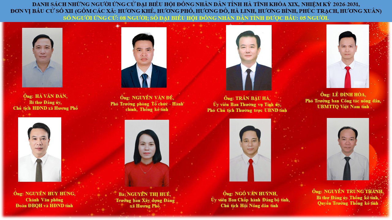 Danh sách các ứng cử viên đại biểu Hội đồng nhân dân tỉnh tại đơn vị bầu cử số 12