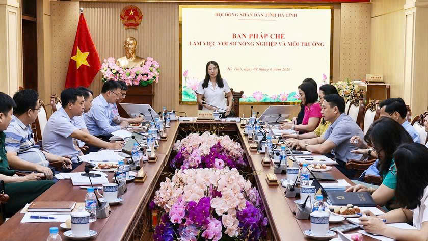 Rà soát kỹ, đảm bảo tính khả thi của nghị quyết về trợ cấp cho lực lượng tham gia phòng, chống thiên tai